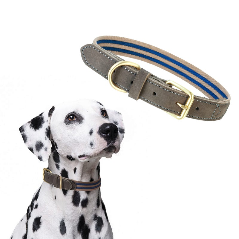 Mile High Life | Genuine Leather Dog Collar | Heavy Duty Canvas Dog Collars with Adjustable Rust-Proof Metal Pin Buckle | Boy Dog Collars for Medium Dogs(Pin Buckle-Navy) - Image 1